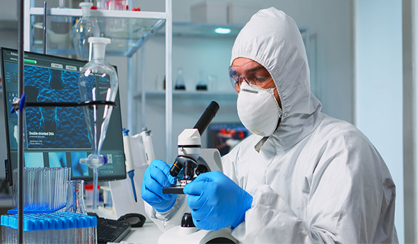 lab